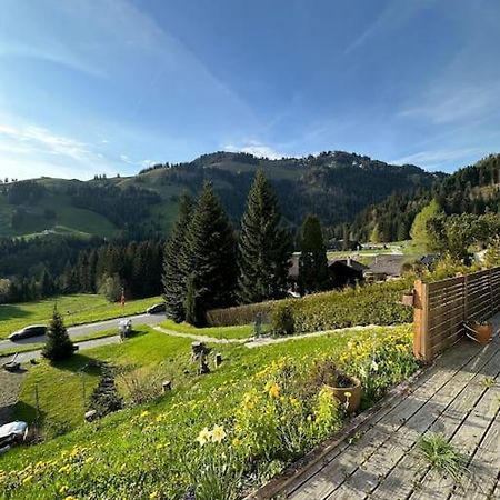 Chalet Du Moleson 格吕耶尔 外观 照片