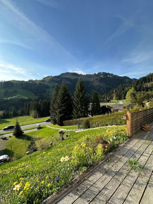Chalet Du Moleson 格吕耶尔 外观 照片