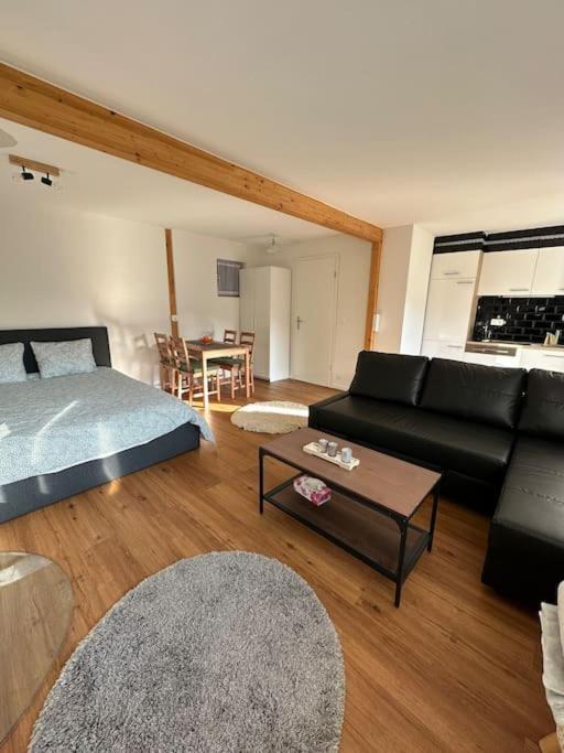 Chalet Du Moleson 格吕耶尔 外观 照片