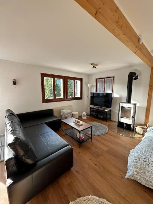 Chalet Du Moleson 格吕耶尔 外观 照片
